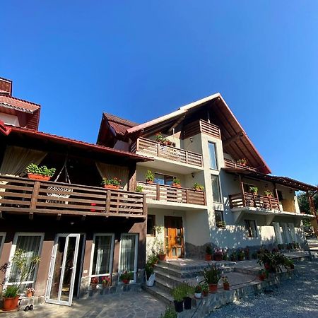 Vila Sorina Борша Экстерьер фото